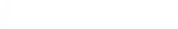 vast.png